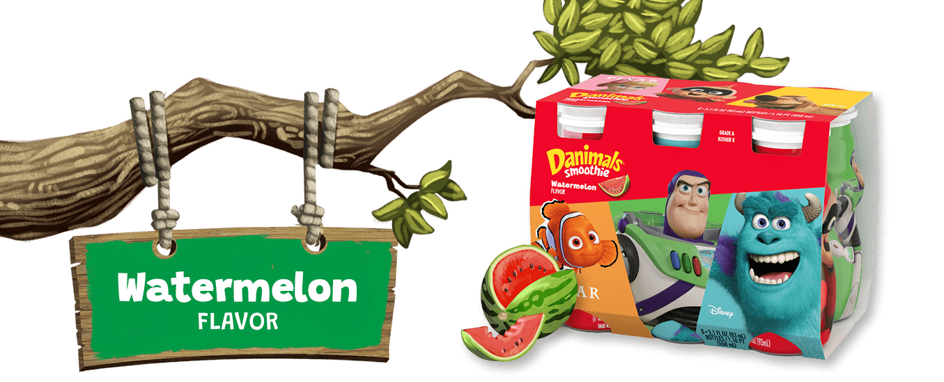 Watermelon Kids Yogurt Smoothie