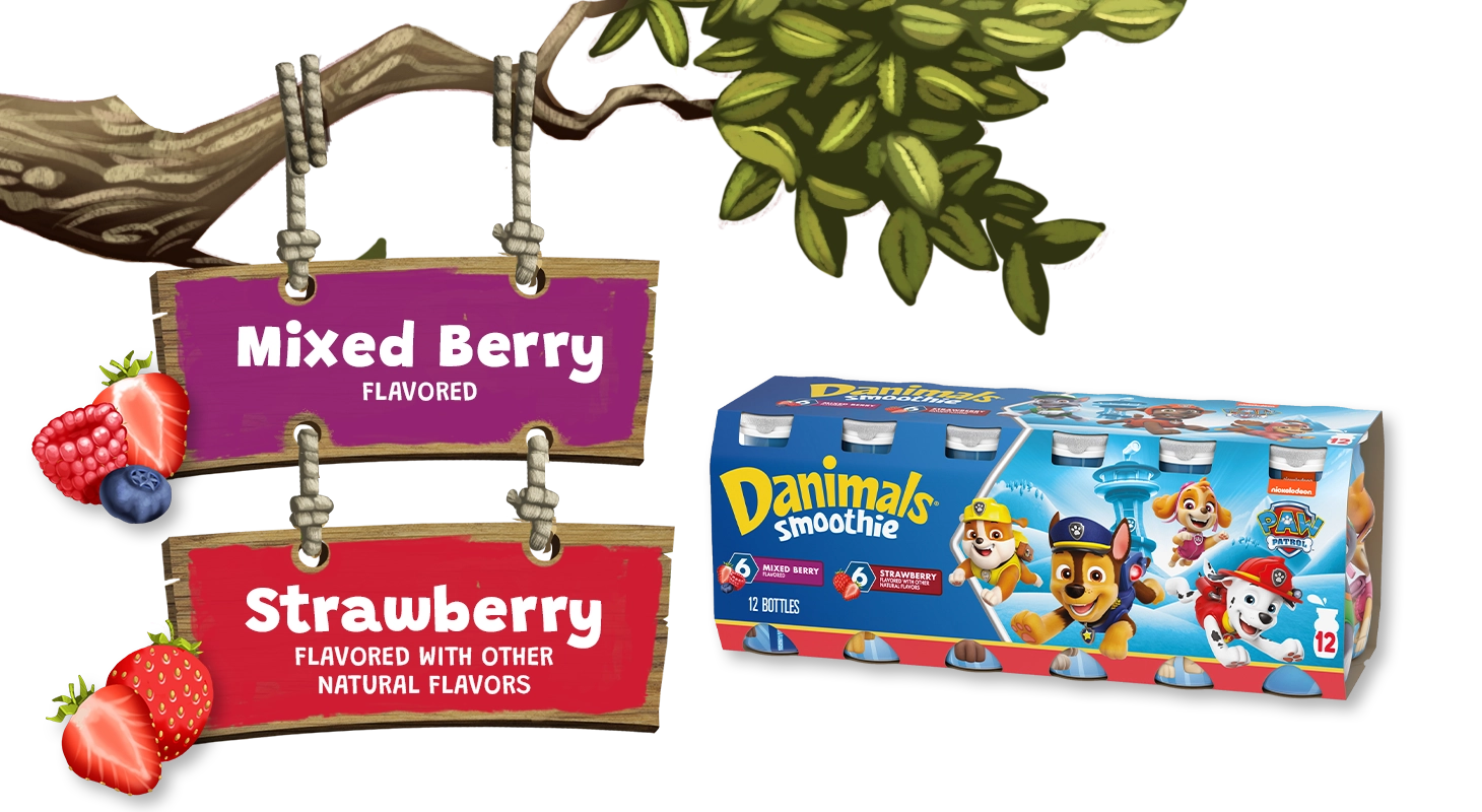 Mixed Berry Strawberry Kids Smoothies 12 Pack