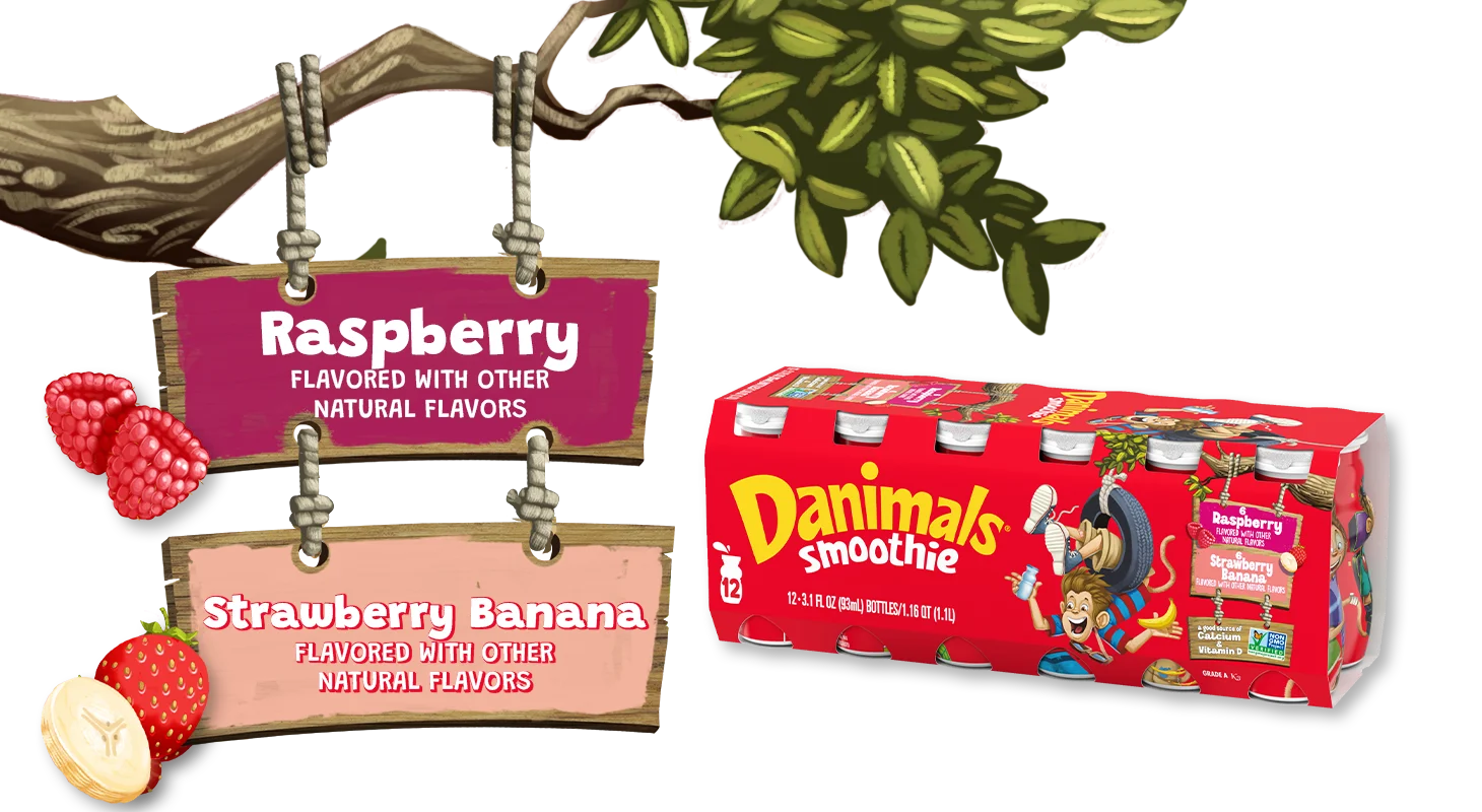 Strawberry-Banana Raspberry Kids Smoothies 12 Pack