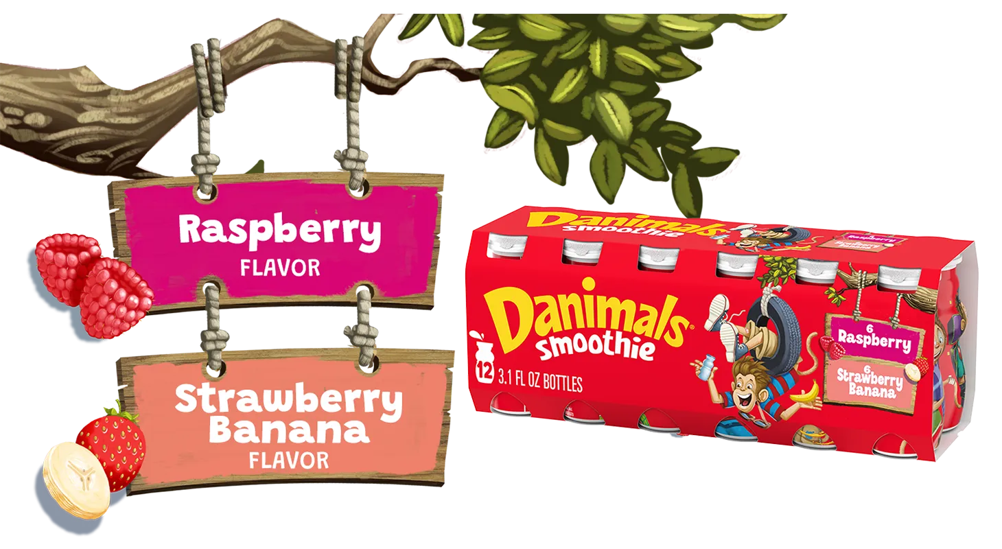 Strawberry-Banana Raspberry Kids Smoothies 12 Pack