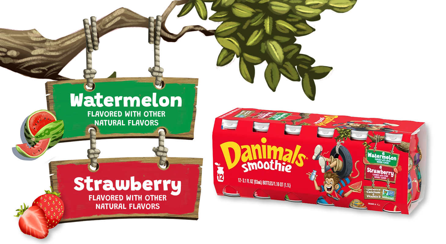 Watermelon Strawberry Kids Smoothies 12 Pack