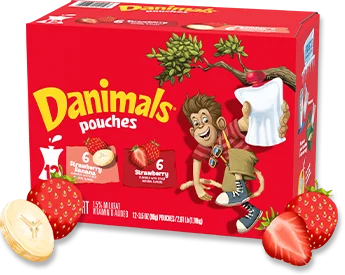 12 Pack Strawberry-Banana Strawberry Pouches